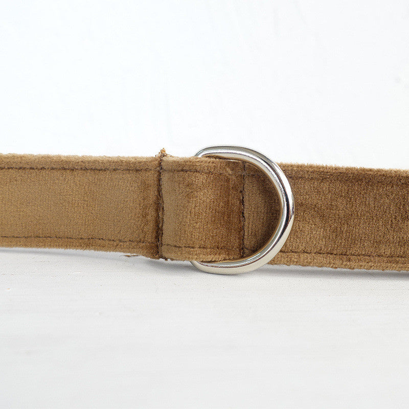 Durable Pet Ring Leash Adjustable Walking Strap