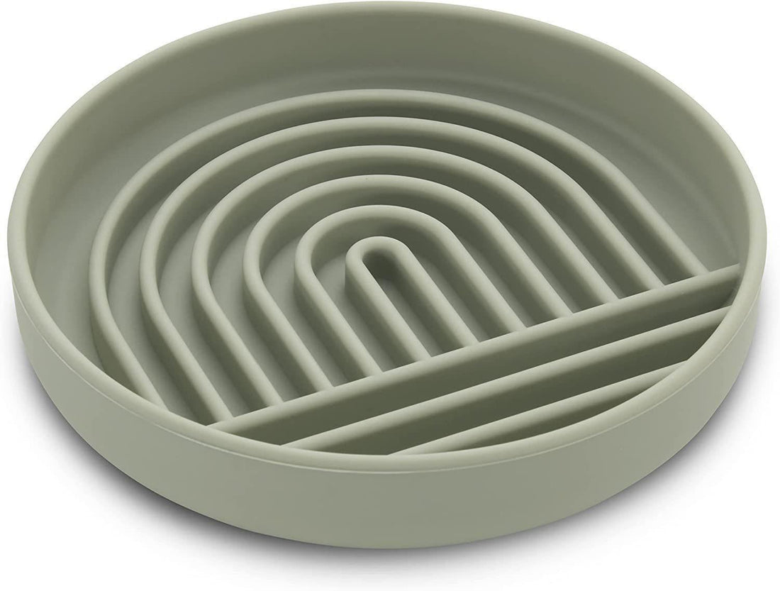 Fashionable Pet Slow Feeding Bowl Simple Design