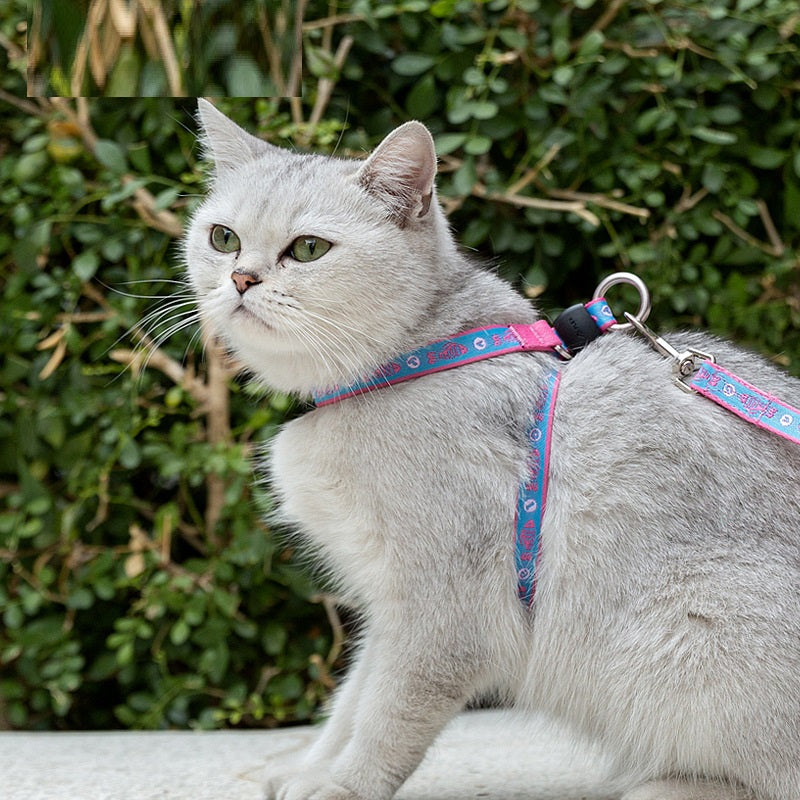 Pet Bell Chest Strap Vest With Adjustable Leash