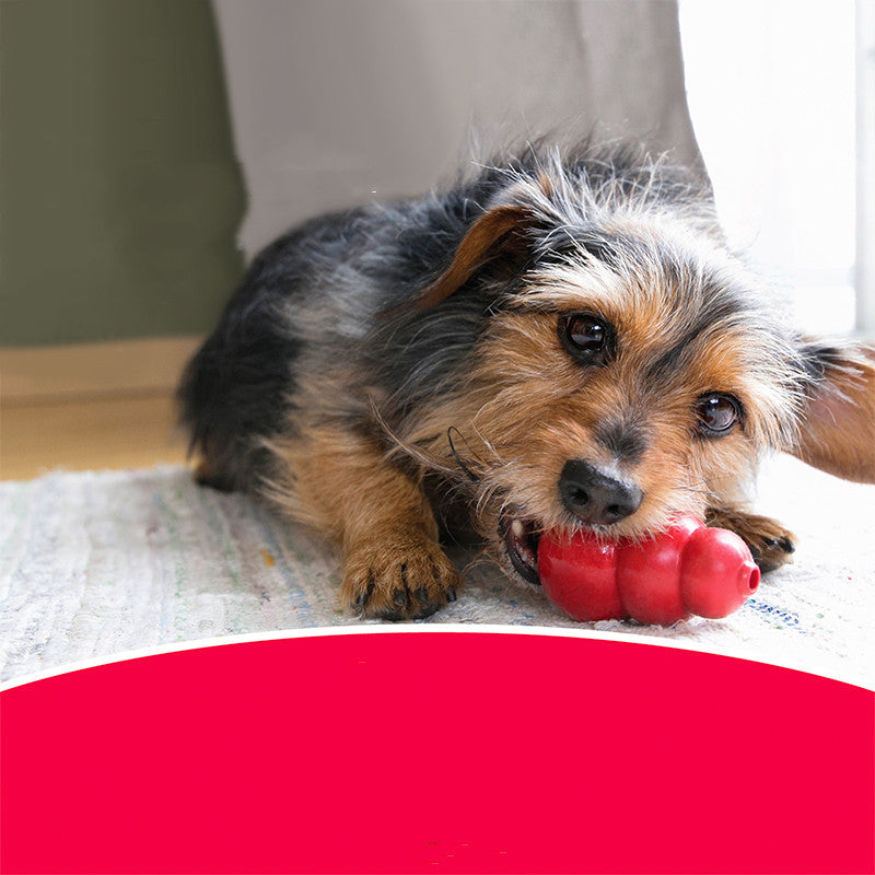 Pet Bite-Resistant Rubber Grinding Toy