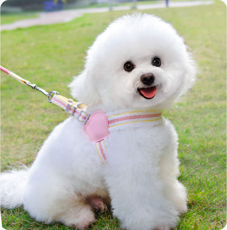 Summer Breathable Pet Leash With Chest Vest Small Medium