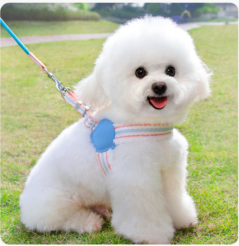 Summer Breathable Pet Leash With Chest Vest Small Medium