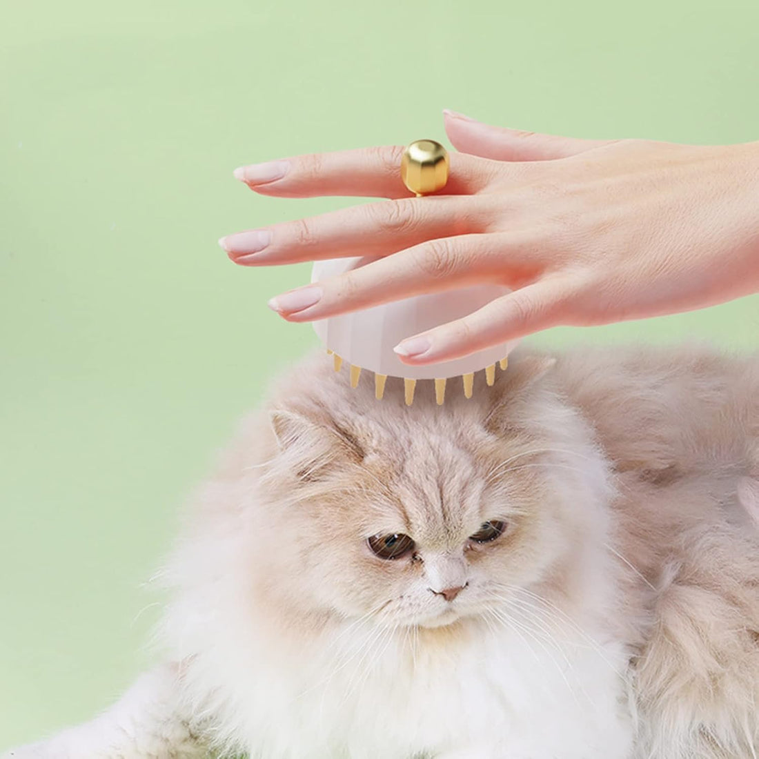 Pet Bath And Grooming Massage Brush