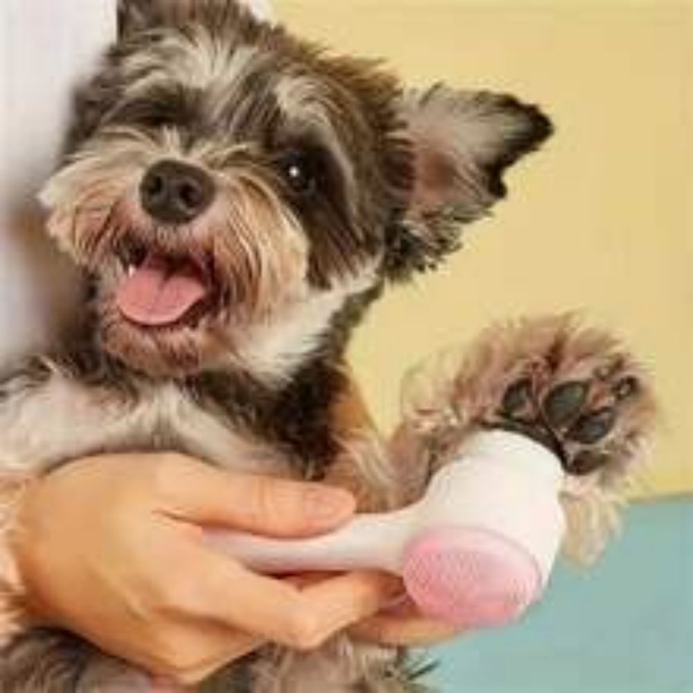 Easy-Clean Nylon Pet Paw Brush Gentle Grooming Tool