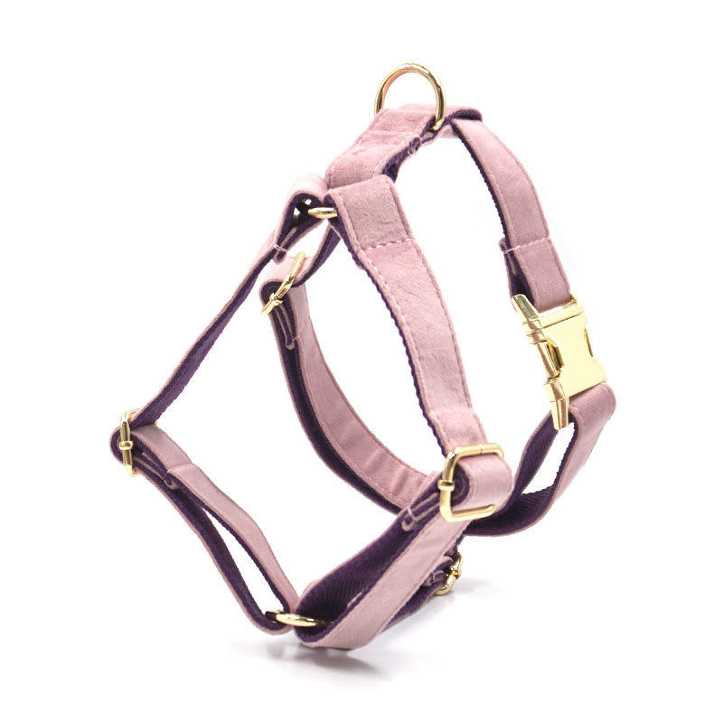 Green Velvet Pet Collar With Matching Leash