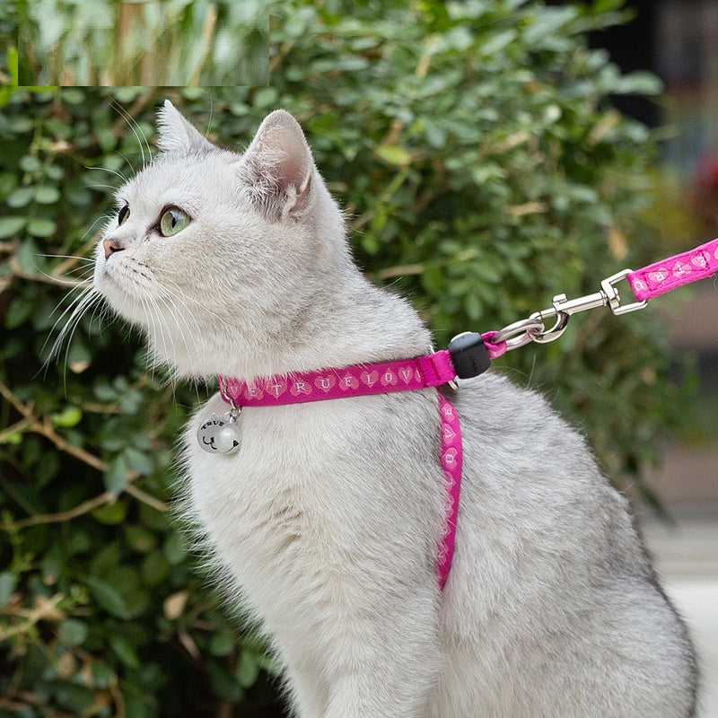 Pet Bell Chest Strap Vest With Adjustable Leash