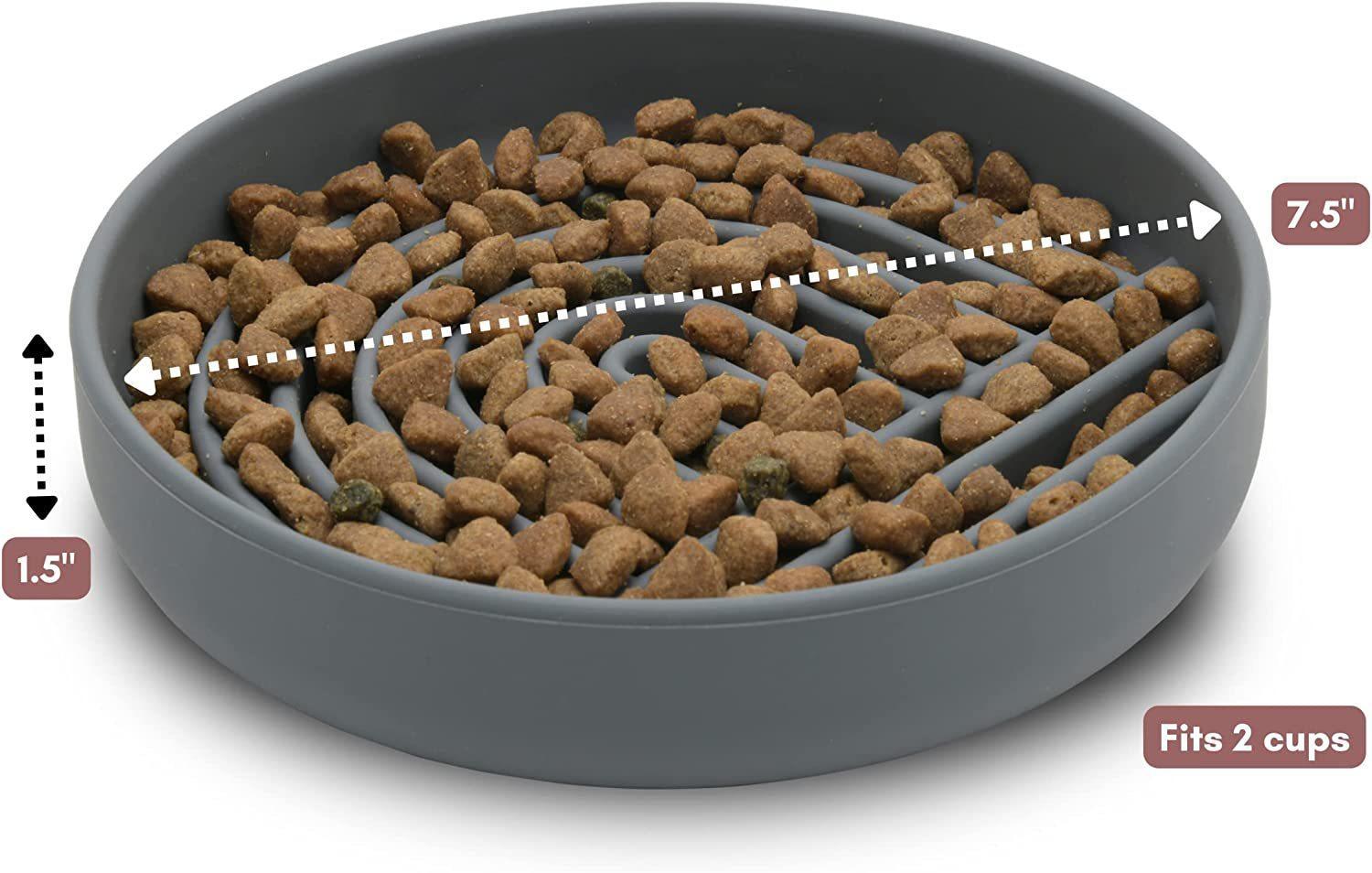 Fashionable Pet Slow Feeding Bowl Simple Design
