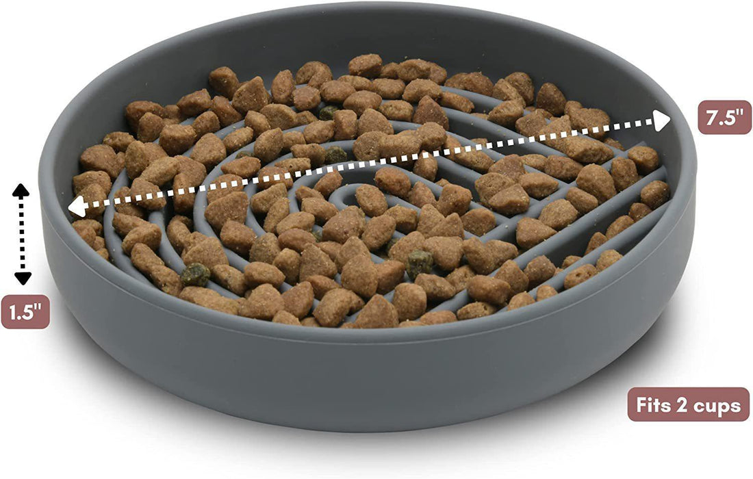 Fashionable Pet Slow Feeding Bowl Simple Design